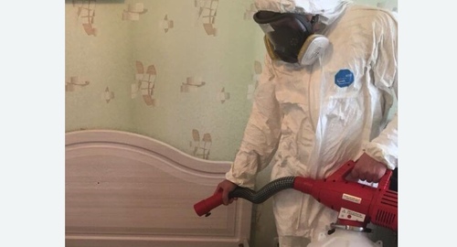 Уничтожение клещей в квартире.  Болтино 